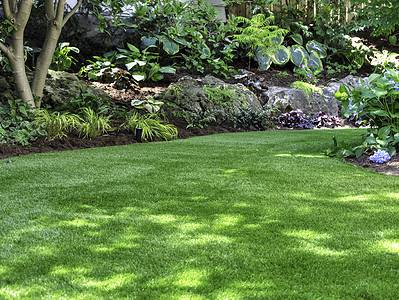 A 18 Easy Landscaping Ideas You Can Use to Make Your Small Backyard Feel Bigger