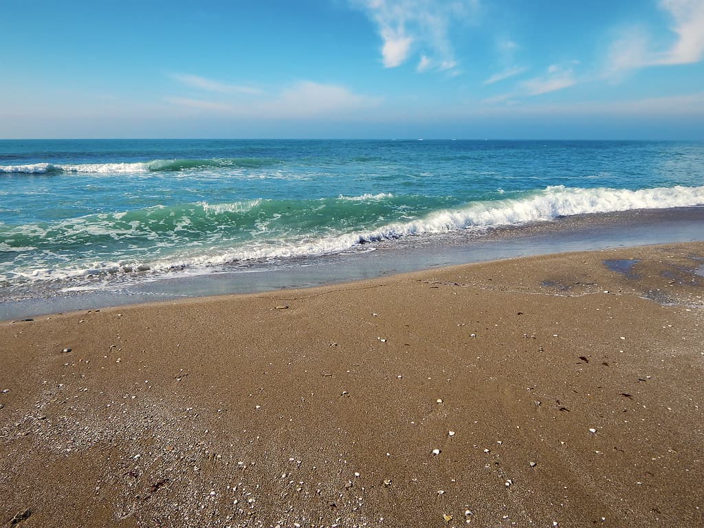 Sandy coast of the Caspian Sea.