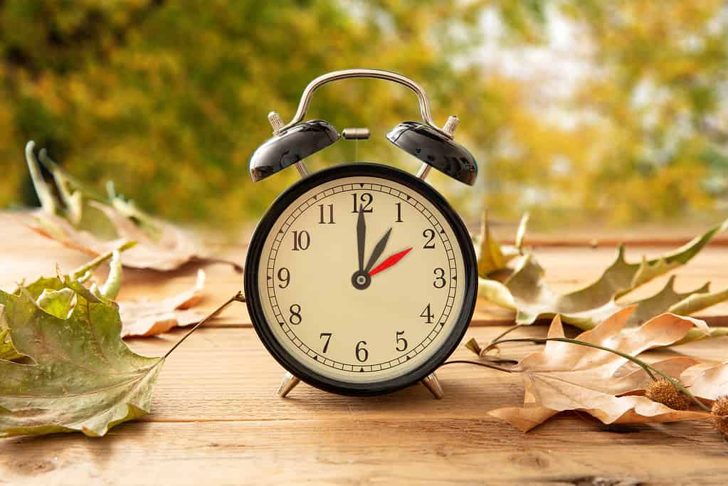 Fall Back one hour. Daylight Saving Time, Black clock on wood, autumn trees background