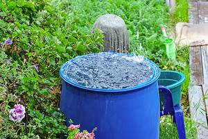 Discover 5 DIY Solutions to Collect Rainwater Picture