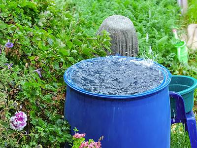 A Discover 5 DIY Solutions to Collect Rainwater