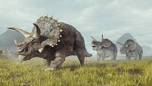 Rhino vs. Triceratops: Who Would Win in a Fight? Picture