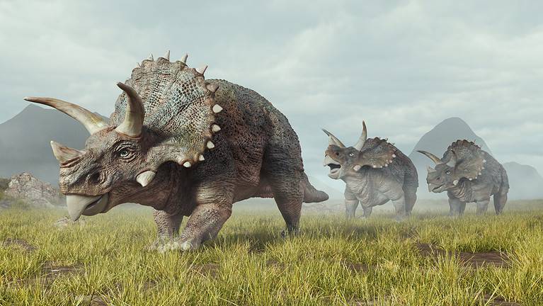 Dinosaur group