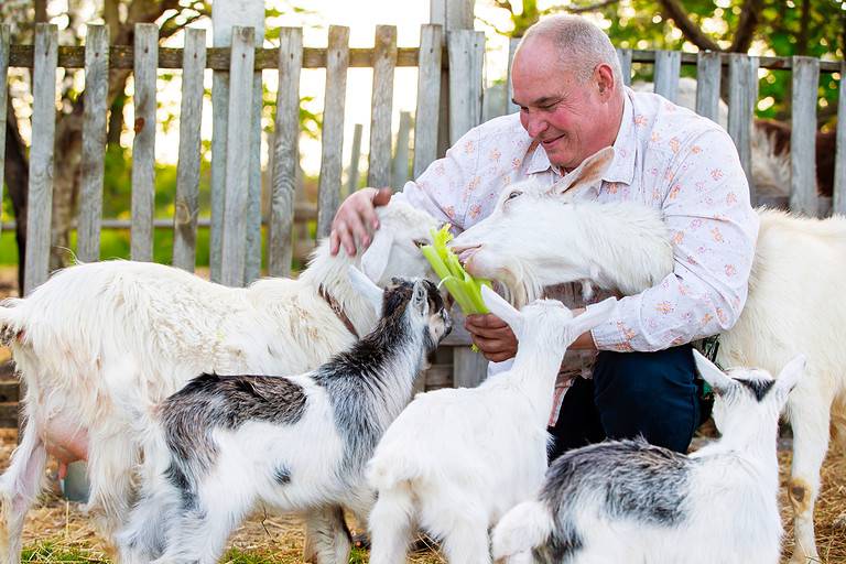 50-54 Years, Adult, Adults Only, Agriculture, Animal