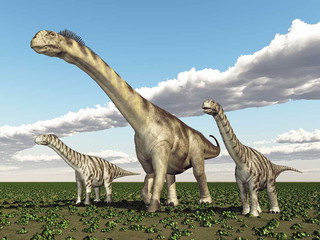 Dinosaur Camarasaurus