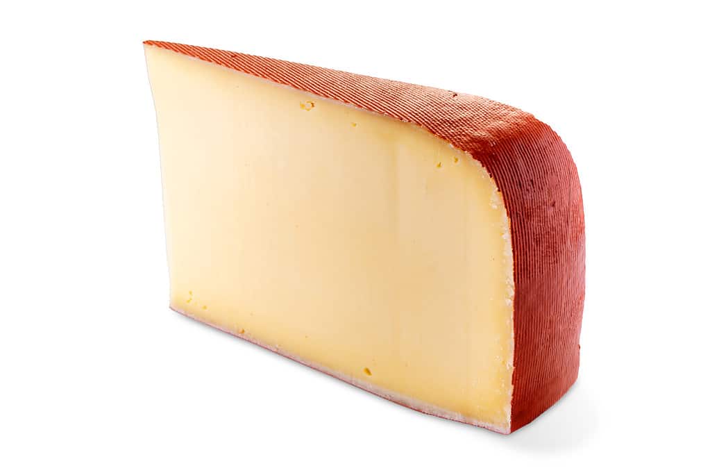 Fontal fontina cheese slice isolated