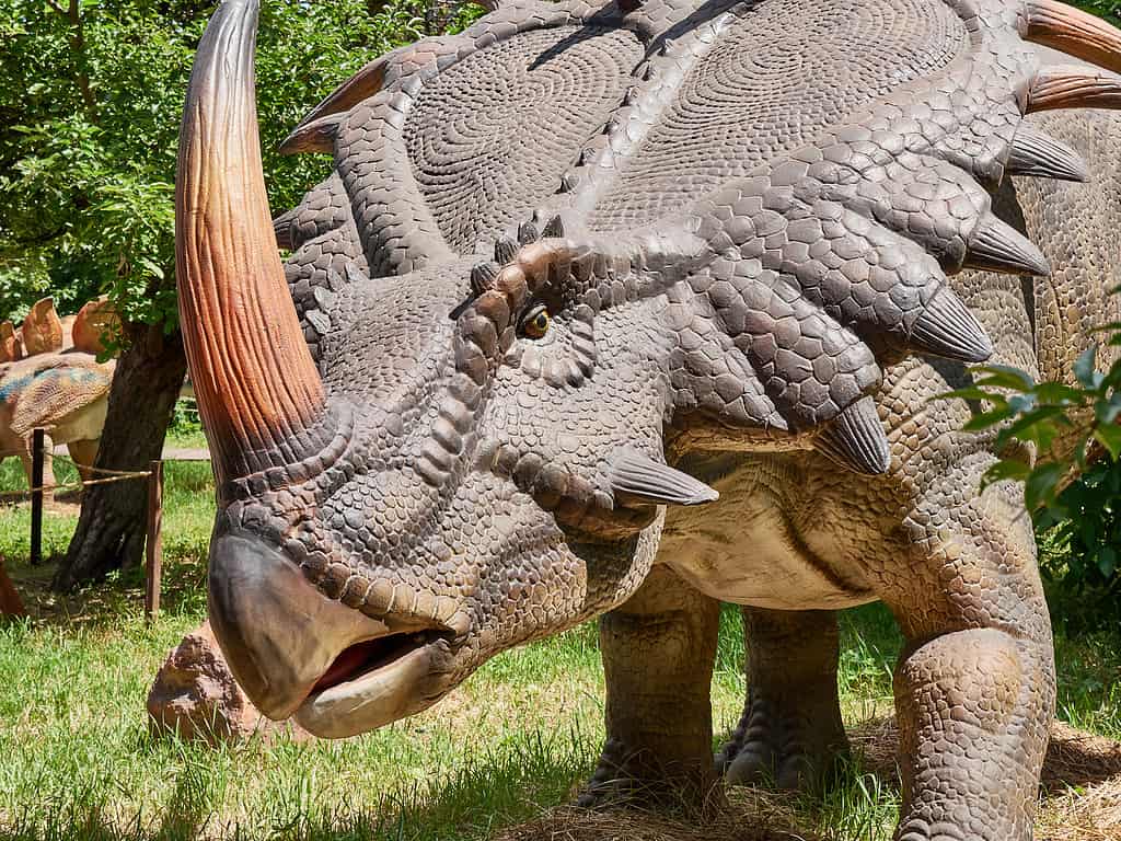 Styracosaurus  dinosaur model in the wild. A species of prehistoric animals.