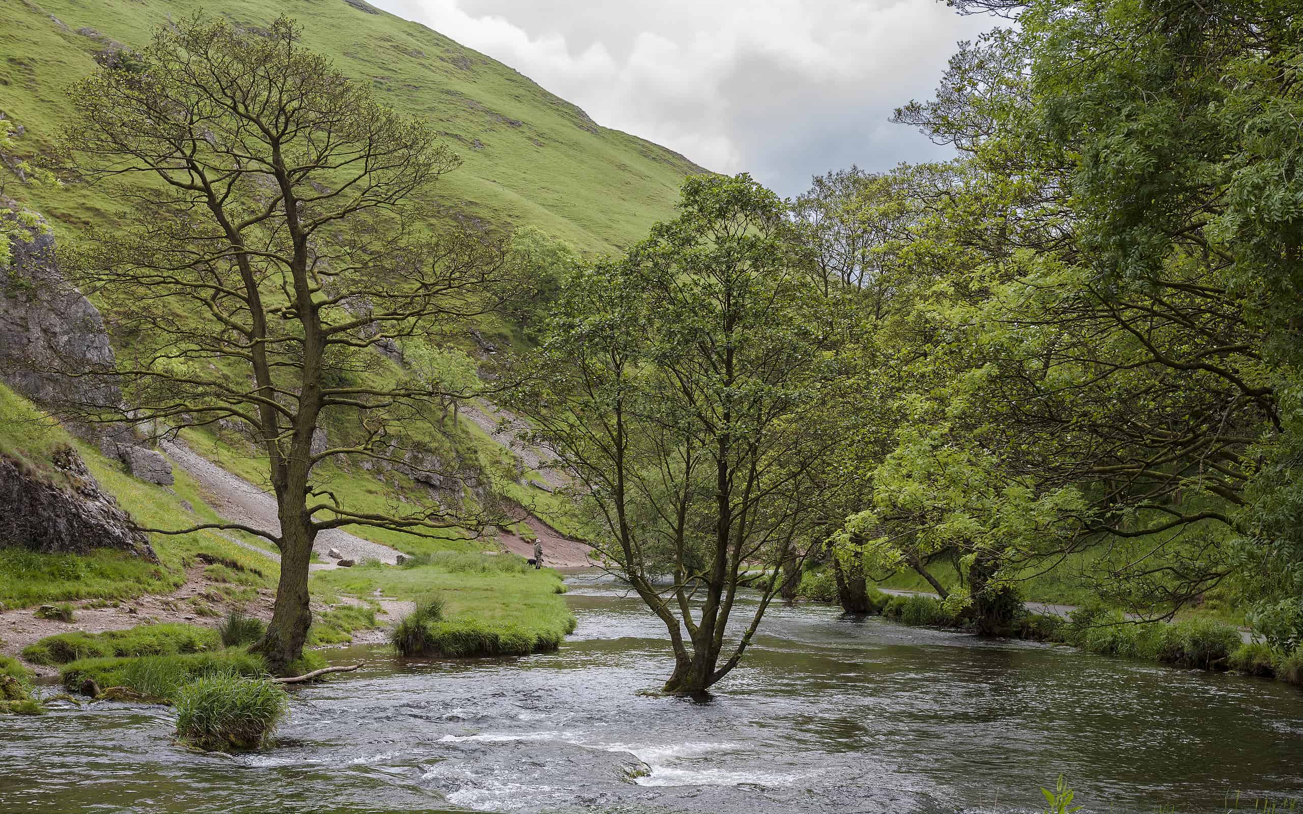 The River Dove, a famous trout stream in the Derbyshire Peak District, England