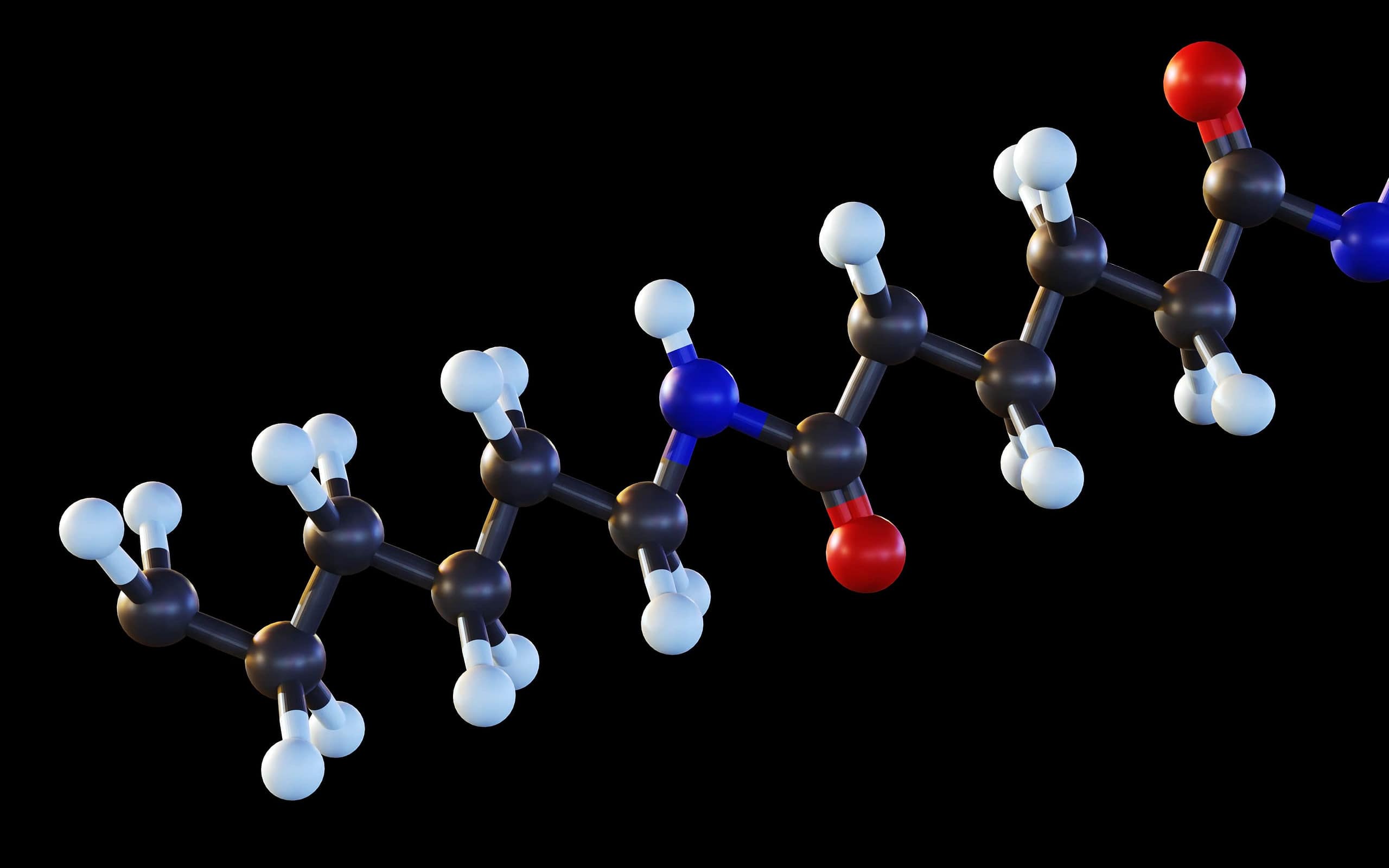Isolated Nylon molecule 3d rendering