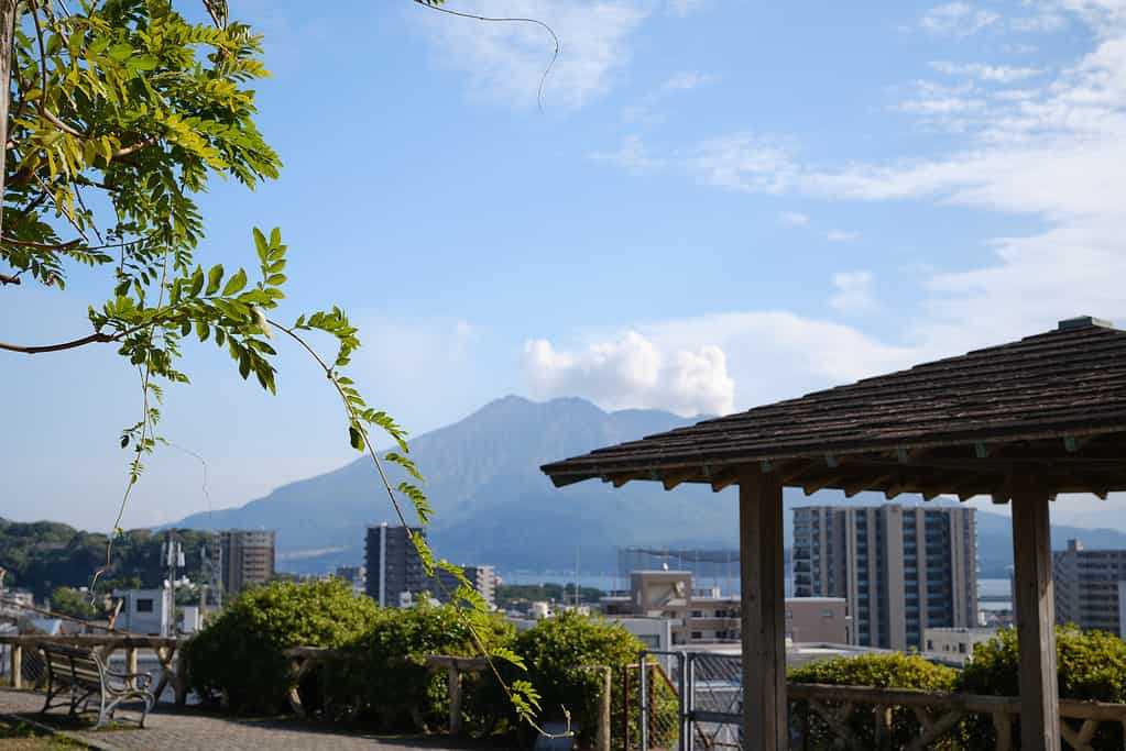 Scenery of Saigo Park overlooking Sakurajima