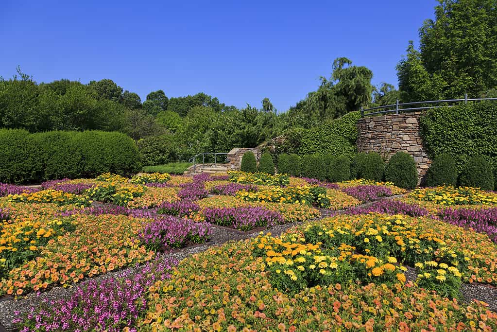 NC Arboretum