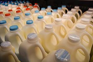 The 9 Types of Milk (Origin, Taste Profiles, and How to Choose the Right One) Picture