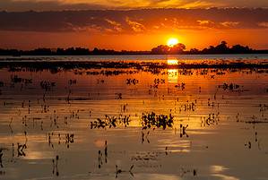 Discover the Largest Freshwater Wetland in the World Picture
