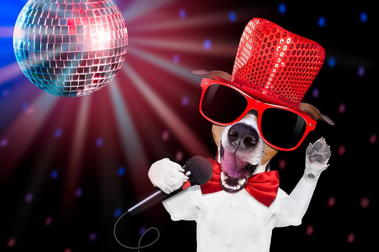 karaoke singing dog