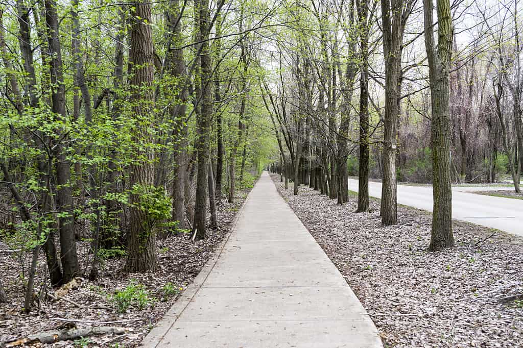 A runners path in Presque Isle State Park in Pennsylvania.