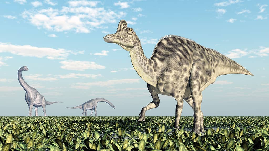 Brachiosaurus and Velafrons