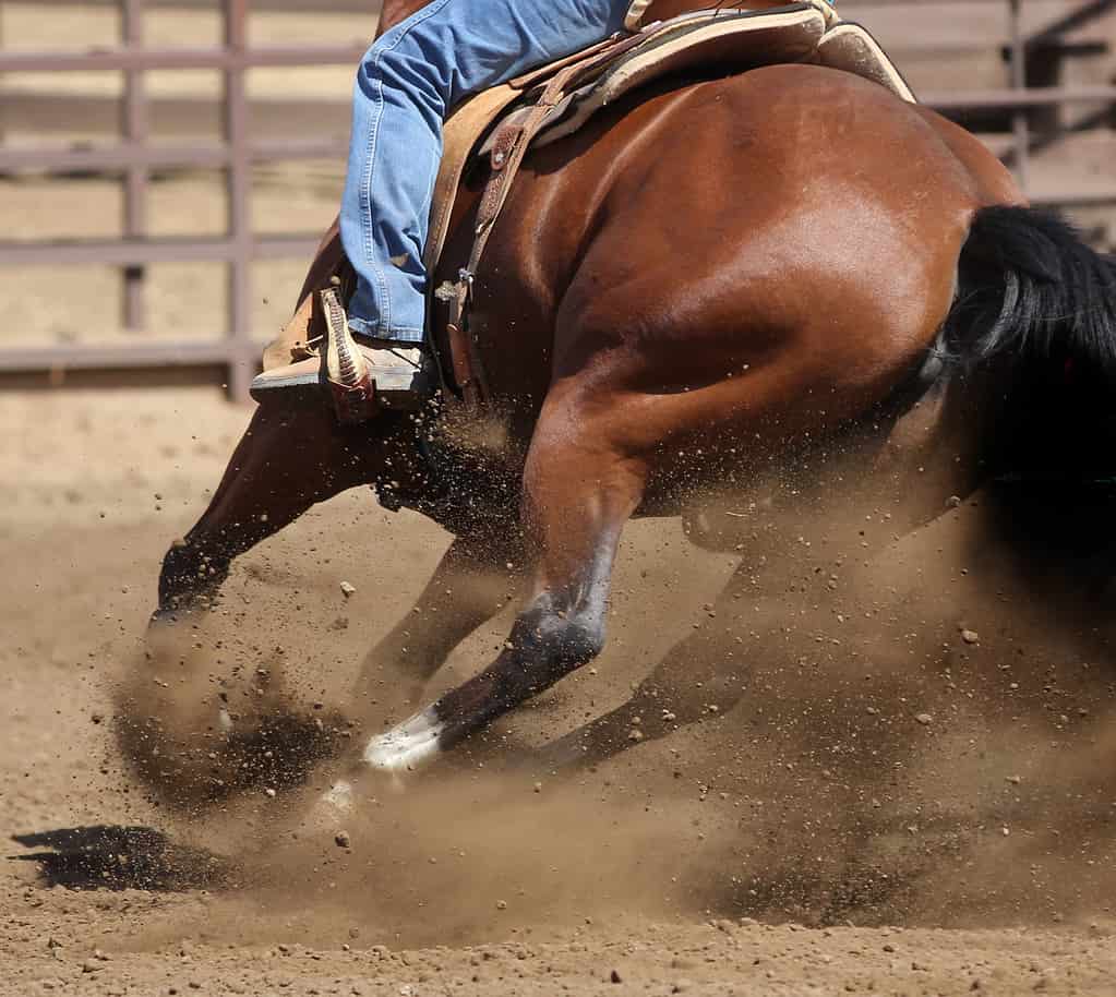 Dirt flying action photography of a horse making a fast turn.