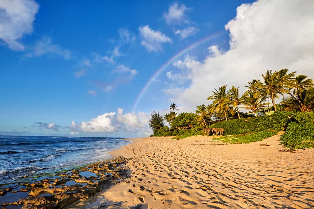 rainbow over the popular surfing place Sunset Beach, Oahu, Hawaii