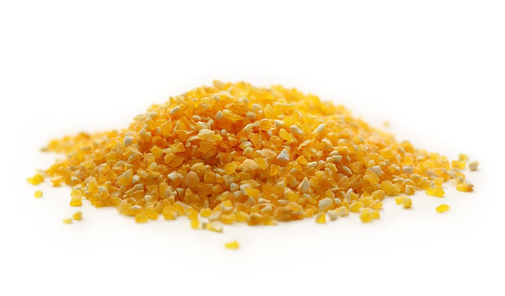 Yellow splintered corn