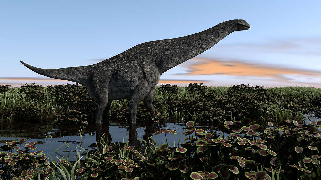 titanosaurus walking in swamp