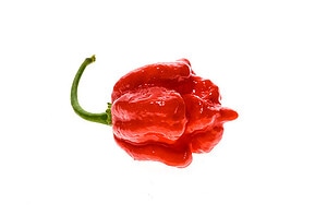 Scoville Scale: How Hot Is a Scorpion Pepper? Picture