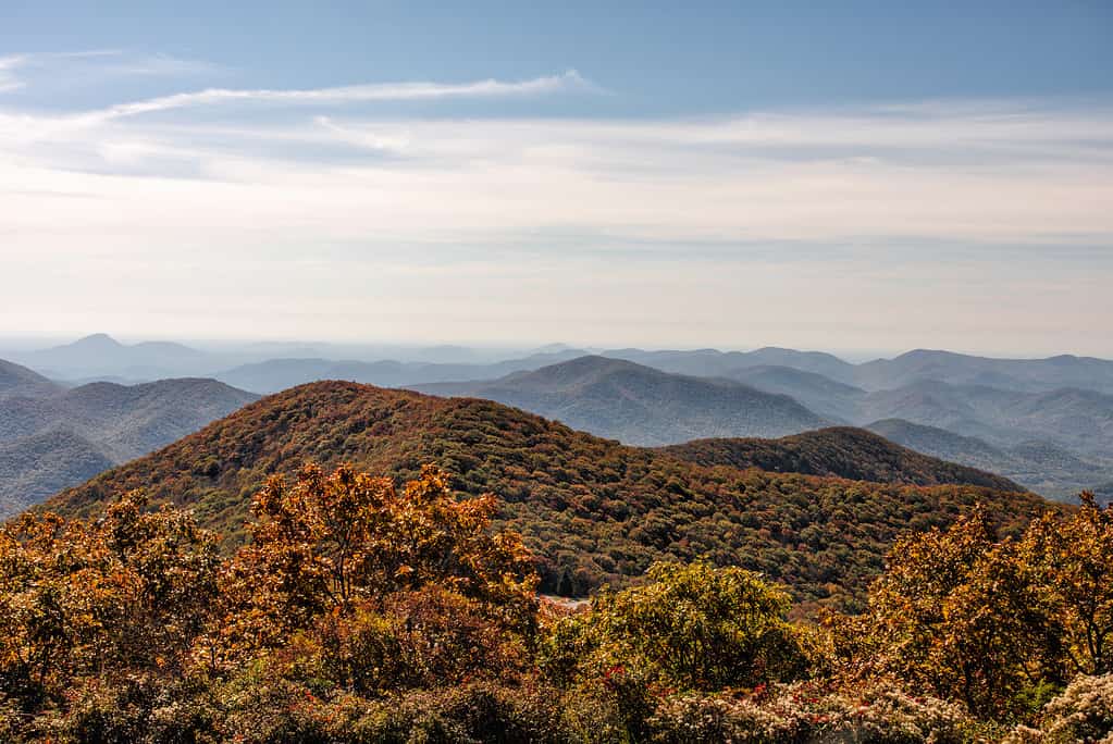 Autumn Landscape View from Brasstown Bald Mountain in Georgia