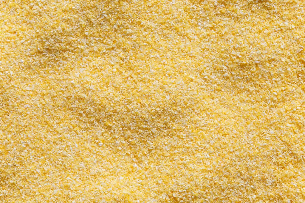 Backgroung of dry cornmeal polenta from above.