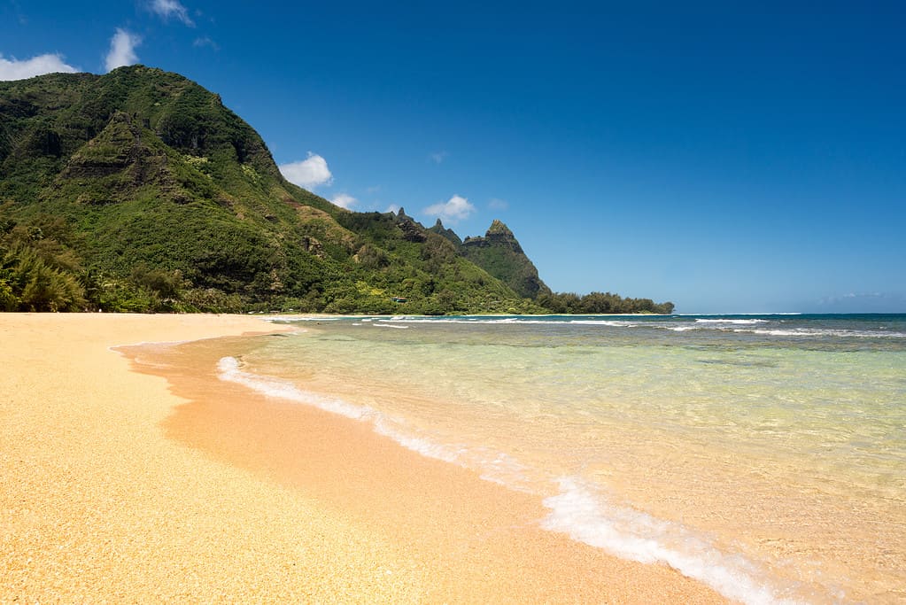 The 10 Best Hawaii Beaches for a Romantic Couple Getaway - A-Z Animals