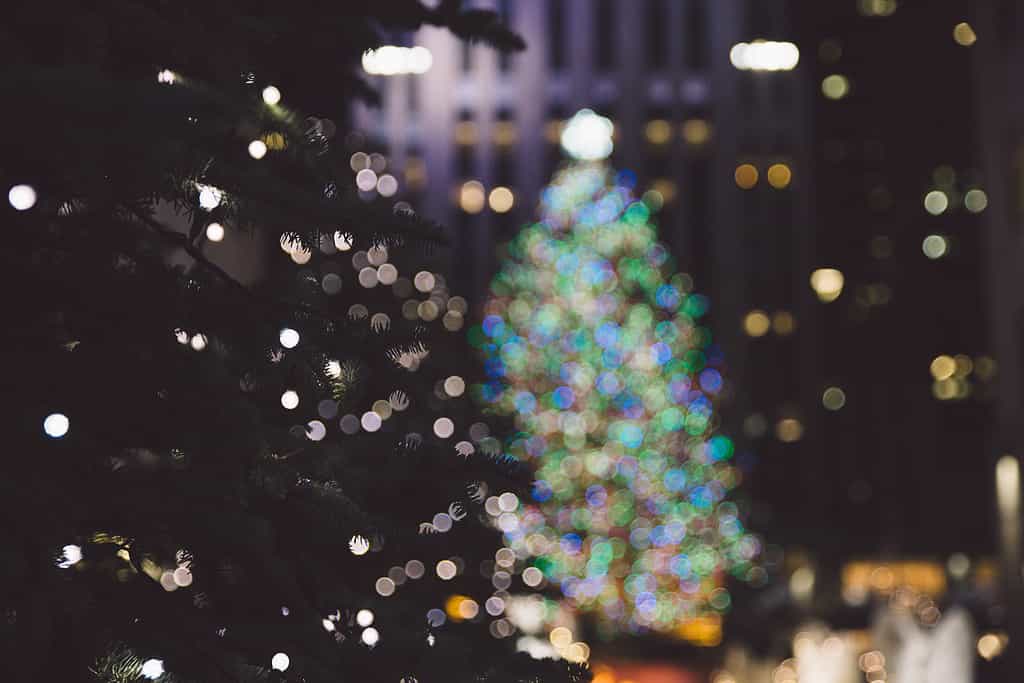 Illuminated Christmas Tree Against Rockefeller Center At Night