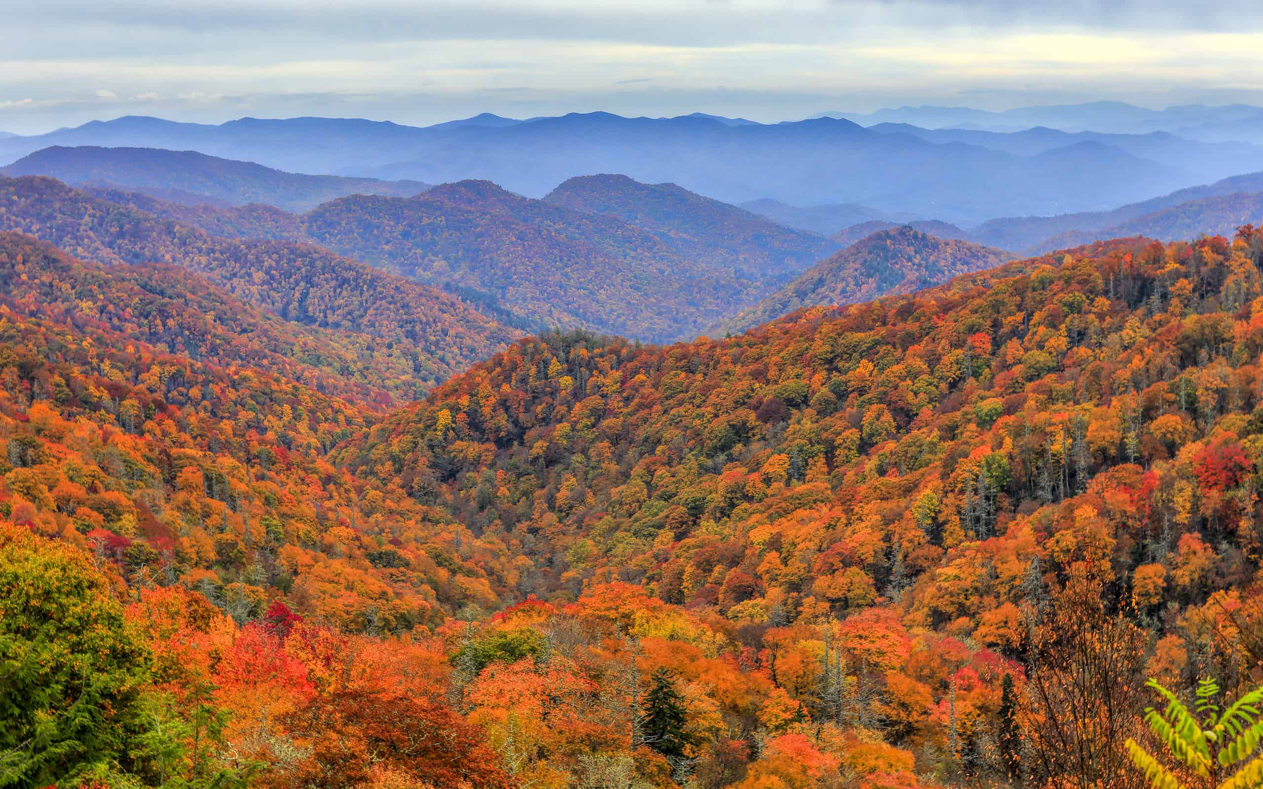 Great Smoky Mountains National Park, North Carolina