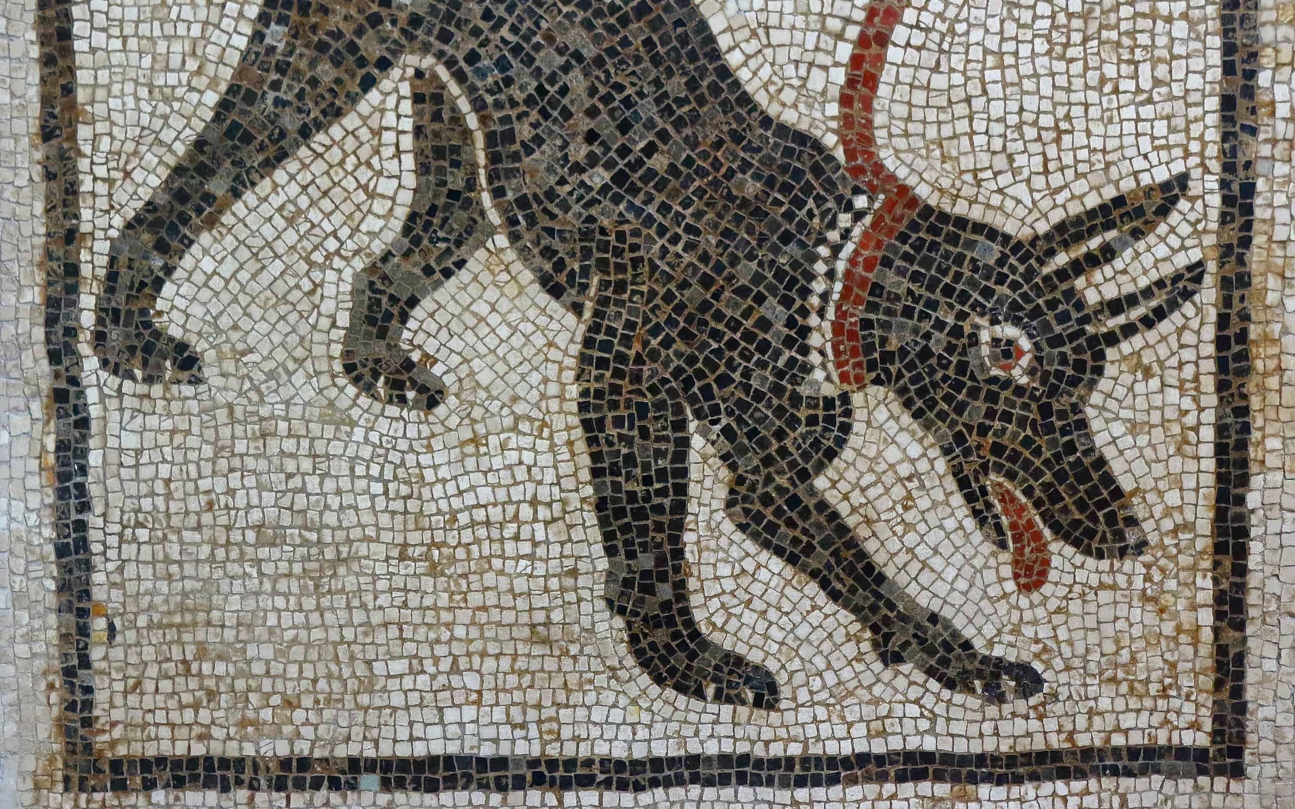 Cave Canem mosaic, Pompeii