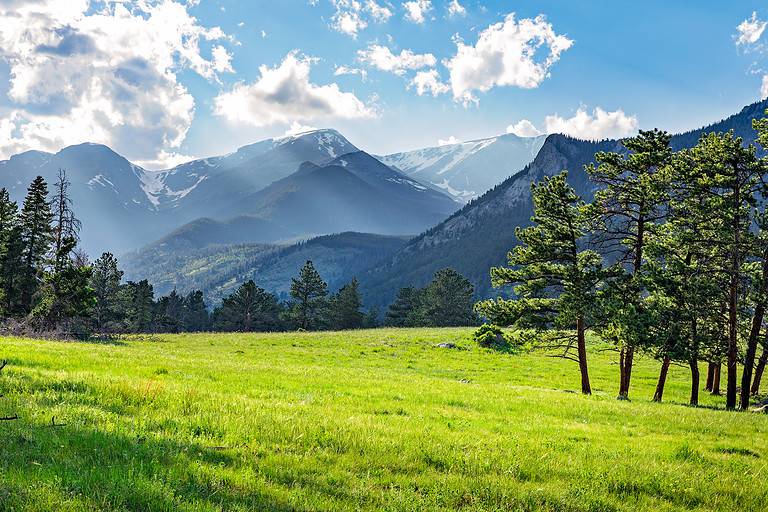 Meadow in Rocky Mountain National Park