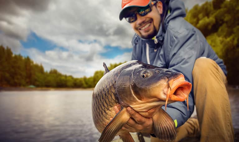 Carp fish