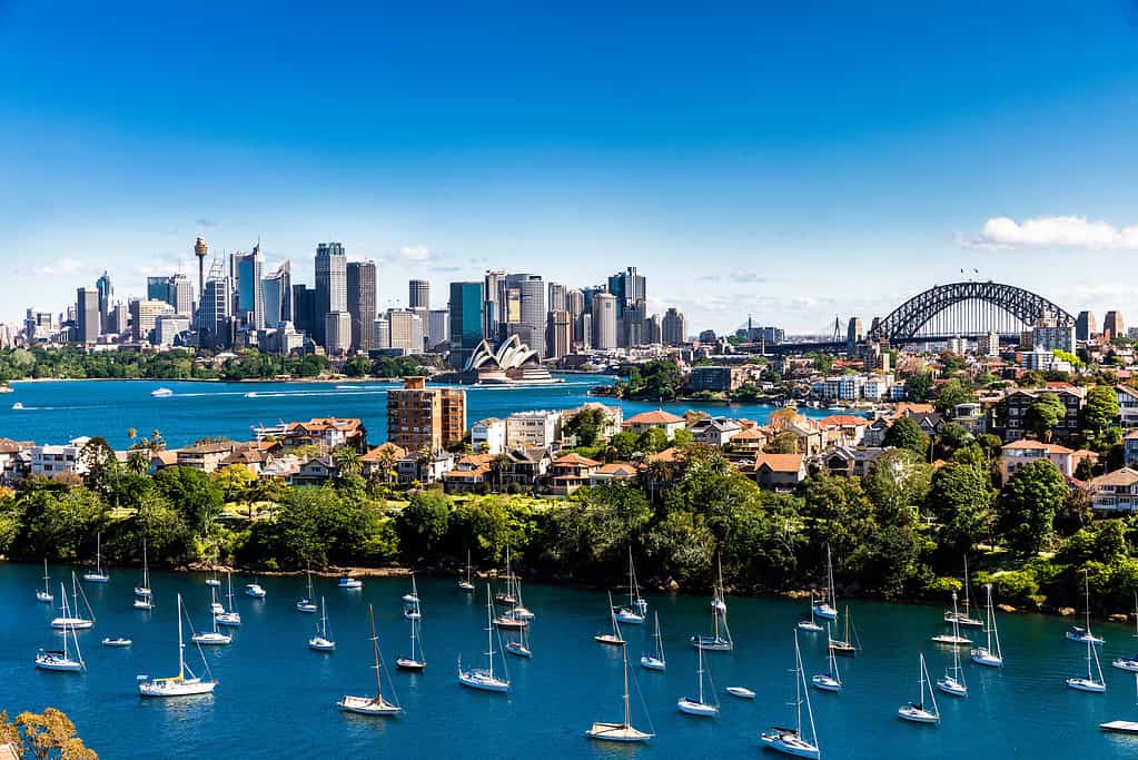 Panorama of Sydney City and Harbour on a bright clear day