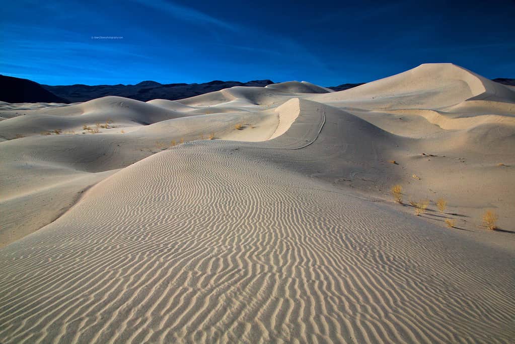 Death Valley's Eureka Dunes