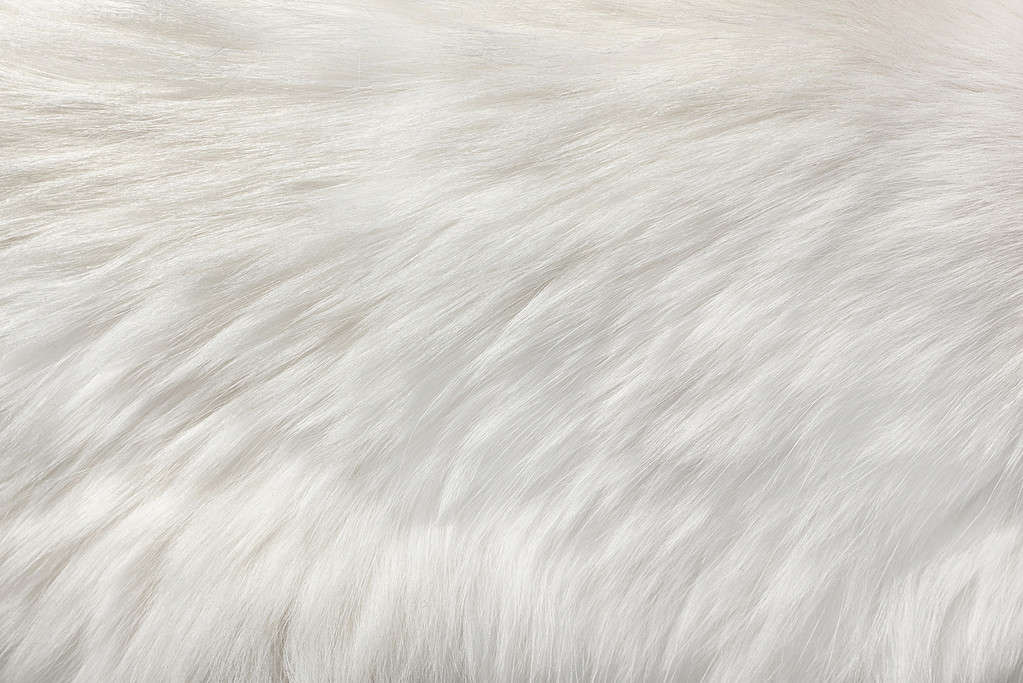 white natural fur background