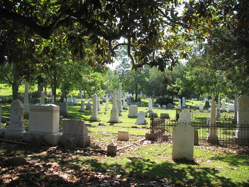 A view of Glenwood Cemetery