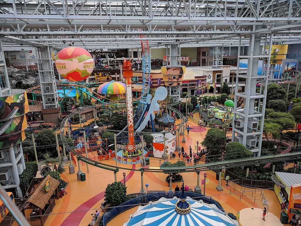 view of the theme park inside Mall of America