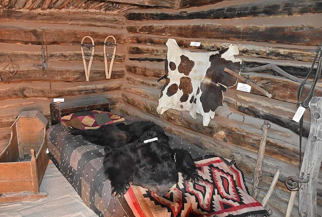 A bed sits in a wooden dwelling with a bear fur on top of the comforter. 