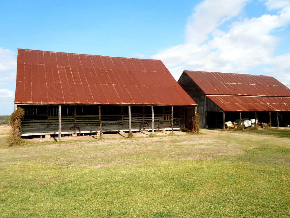 Barns on the largest plantation in Texas, the Nassau Plantation.