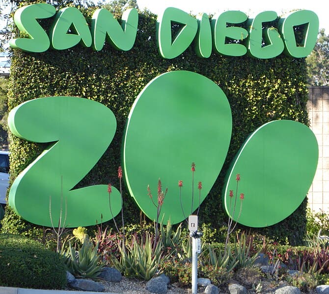 San Diego Zoo street sign on Park Blvd w/ ivy fully grown in.