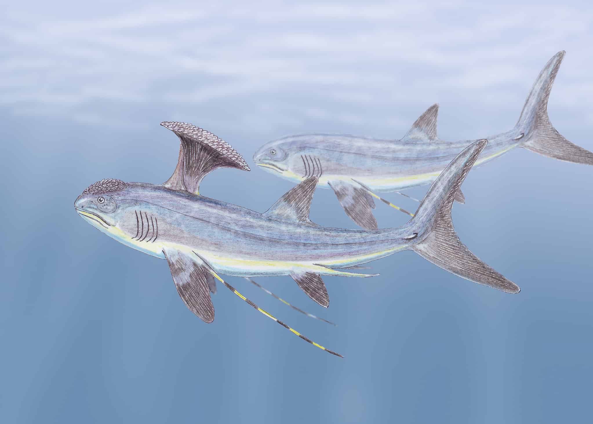 Discover 9 Incredible Carboniferous Period Animals AZ Animals