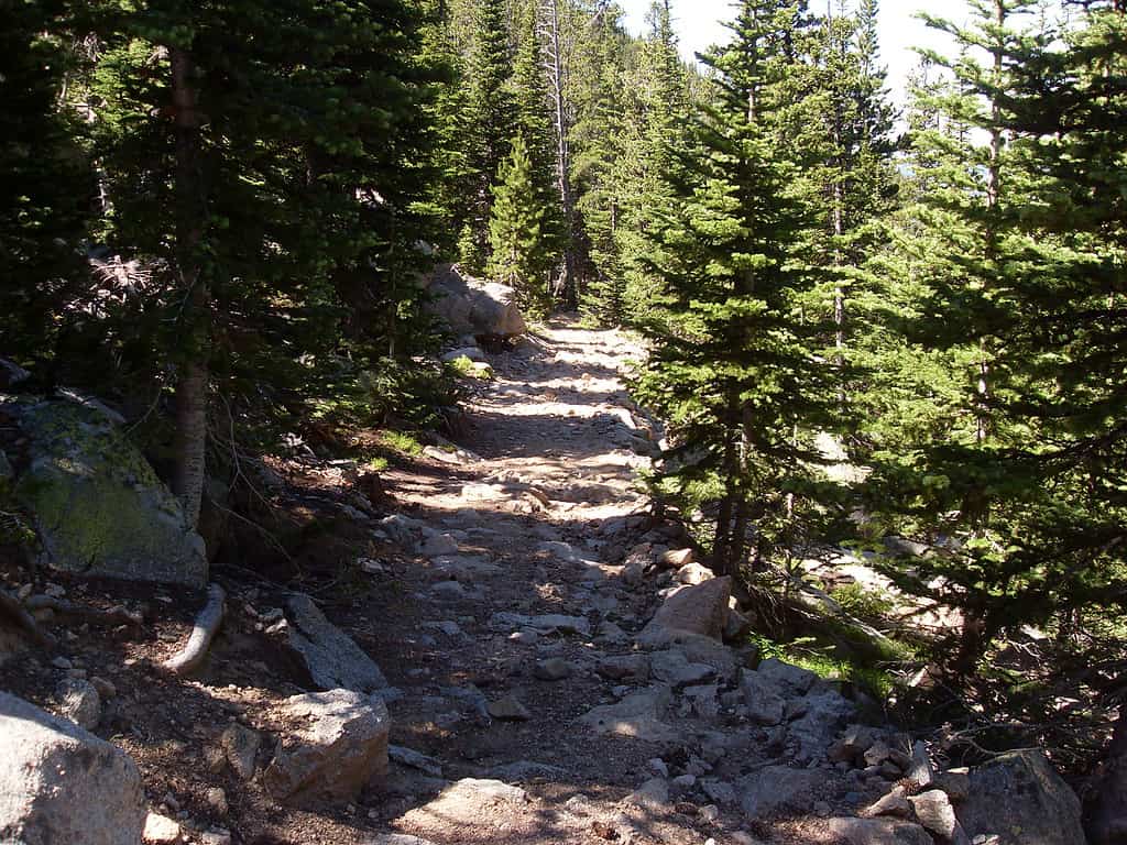 Trail to Laramie Peak in Laramie Mountain Range, WY