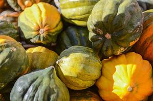 4 Clear Signals Your Acorn Squash Is Ready to Be Harvested (Plus Tips on Storing Them)  Picture
