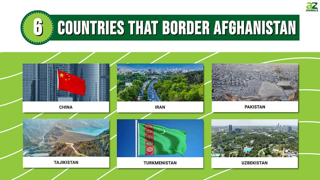 The 6 Countries That Border Afghanistan In 2024 A Z Animals   B7625fe09427a230b6fb600aee4010c8a98b686e 1024x576 