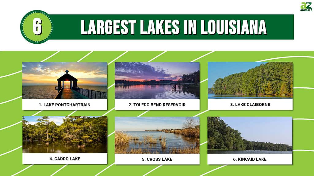 6 Largest Lakes in Louisiana