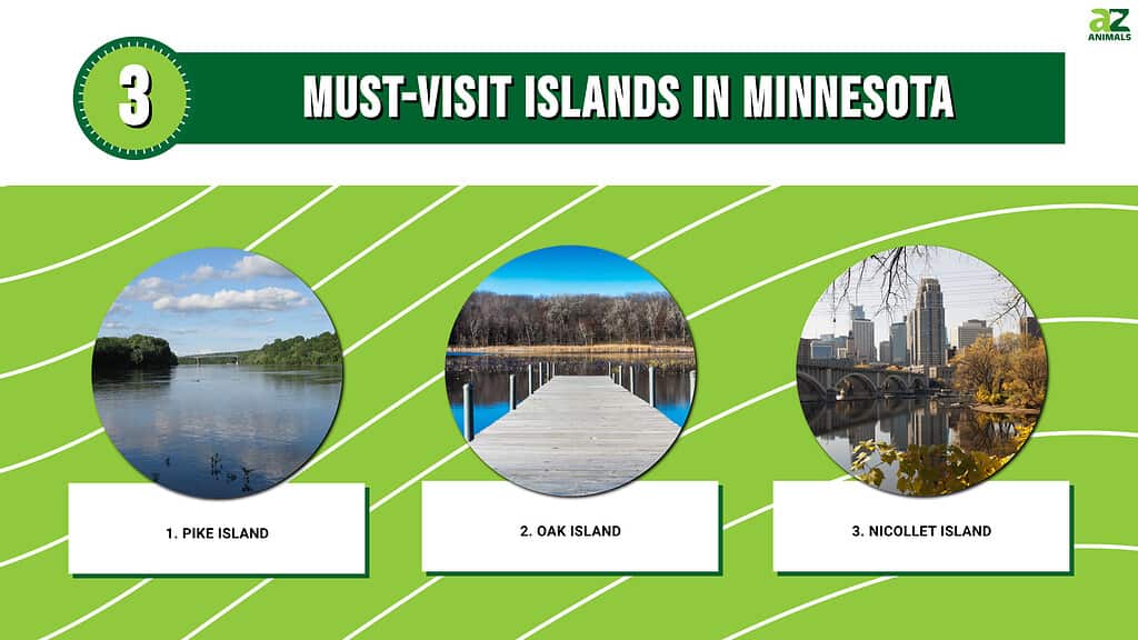 3 Must-Visit Islands in Minnesota