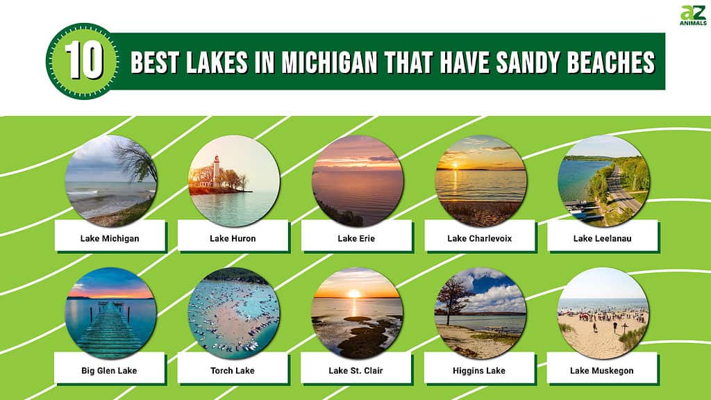 Infographic for the 10 Best Lakes in Michigan That Have Sandy Beaches
