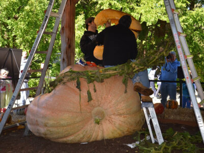 A The Heaviest Jack O’ Lantern Ever Carved Weighed as Much as a Car