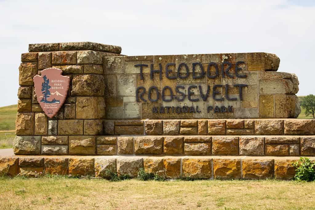 Theodore Roosevelt National Park, North Dakota, USA